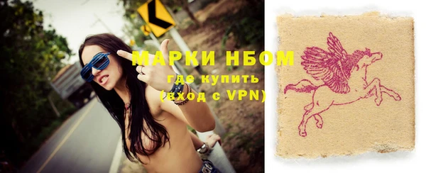 шишки Гусь-Хрустальный