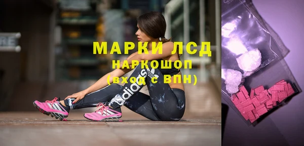 таблы Гусев
