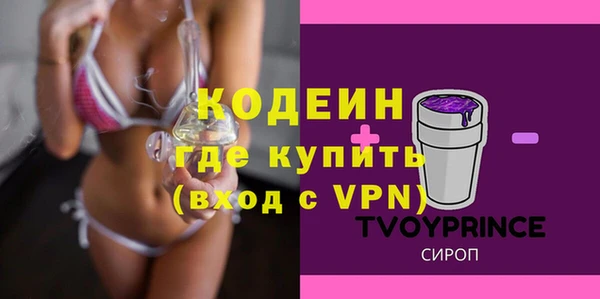 таблы Гусев