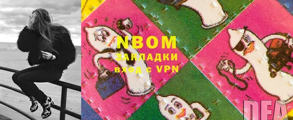 шишки Гусь-Хрустальный