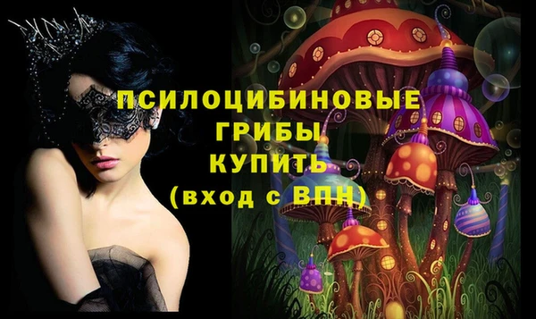 шишки Гусь-Хрустальный