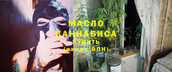 таблы Гусев