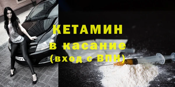 шишки Гусь-Хрустальный