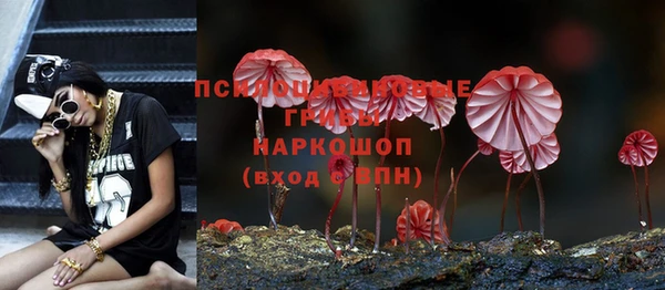 таблы Гусев