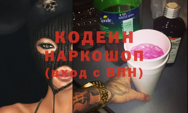 шишки Гусь-Хрустальный